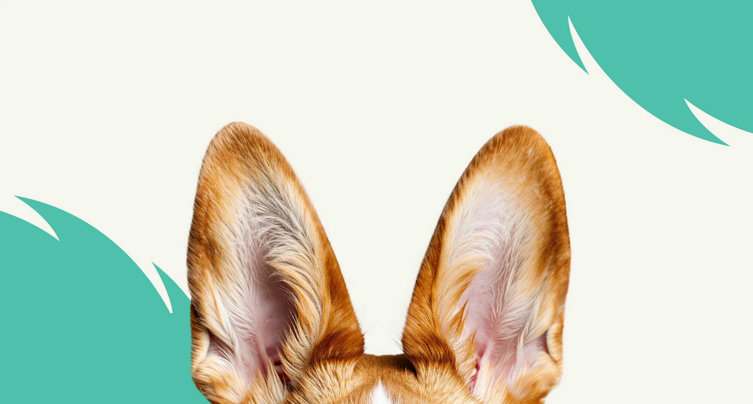 Healthy Pet Club